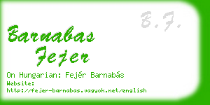 barnabas fejer business card